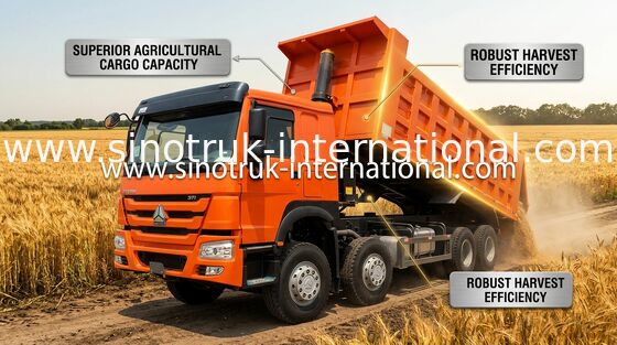 شاحنة قلابة SINOTRUK HOWO 371HP 12 عجلات LHD 31 طن 20-30CBM ZZ3317N3567W