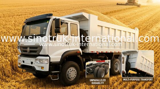 SINOTRUK الذهبي الأمير تفريغ شاحنة 10 عجلات 336HP LHD 25-30tons ZZ3251N3641W