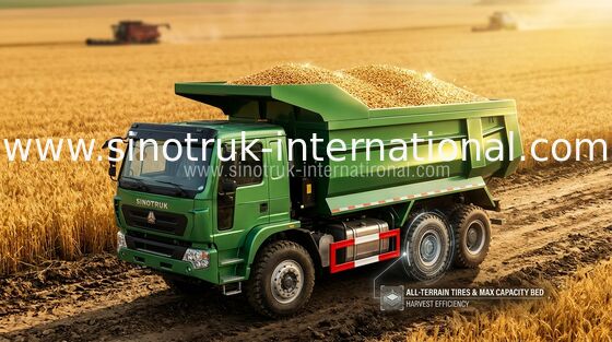 الثقيلة SINO HOWO Trucks / 10 Wheeler Dump Truck 371HP Low Fuel Consumption