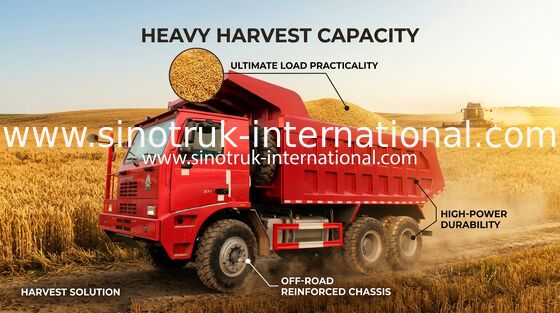 70 شاحنة تفريغ شاحنة قلابة للتعدين ، Euro 2 SINOTRUK HOWO 6x4 Dump Truck