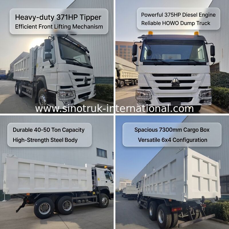 SINOTRUK HOWO 371HP شاحنة قمامة ثقيلة مع 10 عجلات وصندوق شحن مستطيل