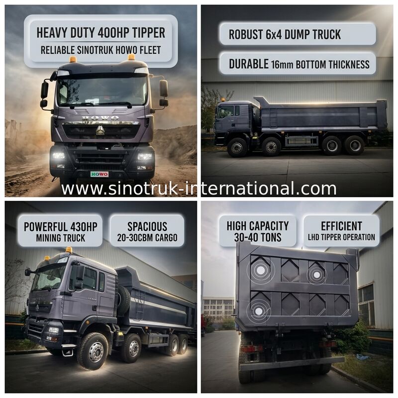 شاحنة النقل SINOTRUK HOWO 400HP 12 عجلات LHD 30-40 طن 20-30CBM ZZ3317V356GB1