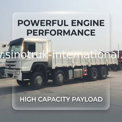 SINOTRUK Heavy Duty Lorry Cargo Truck 9280 * 2300 * 800mm Commercial Truck And Van